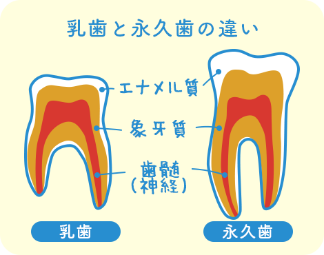 むし歯